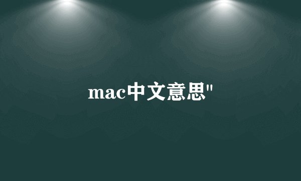 mac中文意思