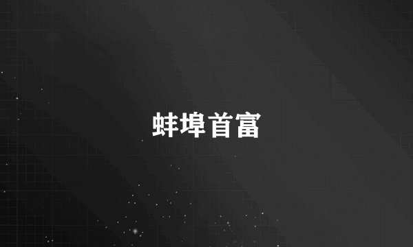 蚌埠首富