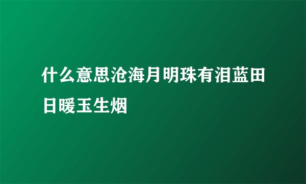 什么意思沧海月明珠有泪蓝田日暖玉生烟