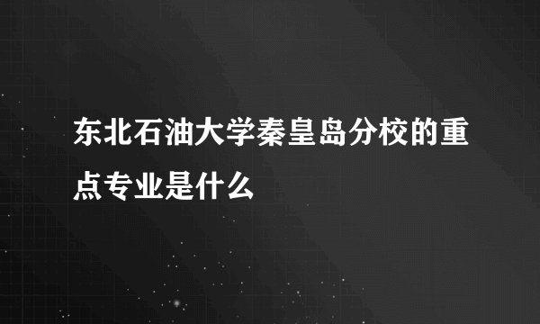 东北石油大学秦皇岛分校的重点专业是什么