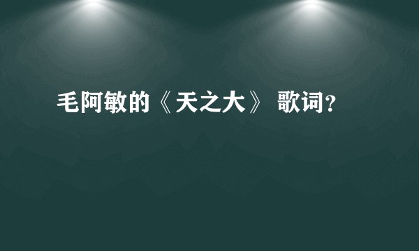 毛阿敏的《天之大》 歌词？
