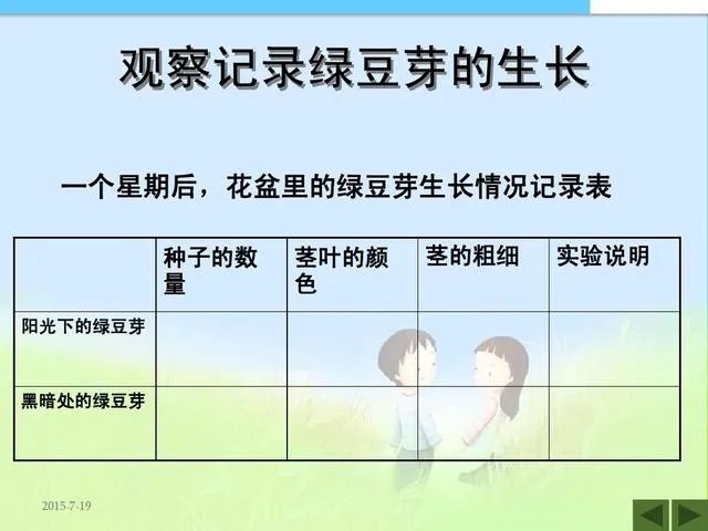 绿豆芽生长情况记录表？