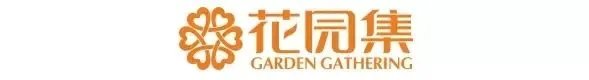 庭院造景植物设计指南