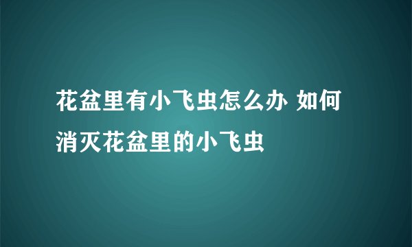 花盆里有小飞虫怎么办 如何消灭花盆里的小飞虫