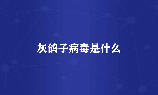 灰鸽子病毒是什么