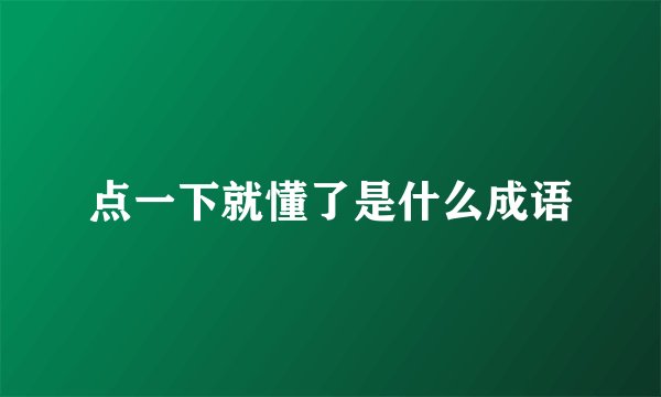 点一下就懂了是什么成语