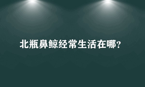 北瓶鼻鲸经常生活在哪？