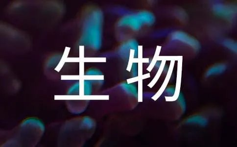 食品生物技术专业主要学什么