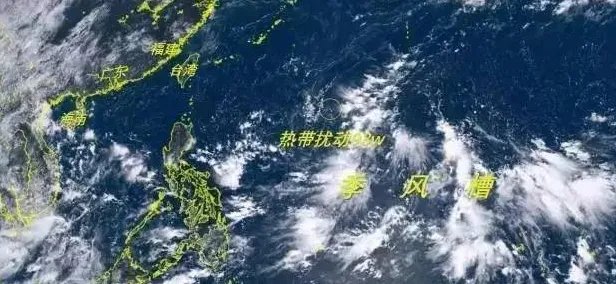 台风帕卡具有哪些特点?