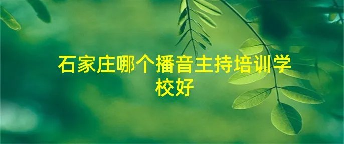 石家庄哪个播音主持培训学校好