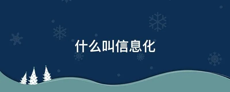 什么叫信息化