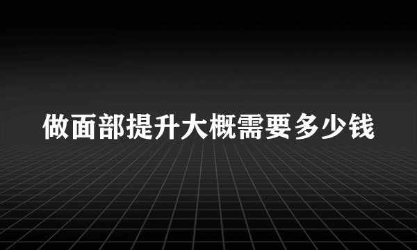 做面部提升大概需要多少钱