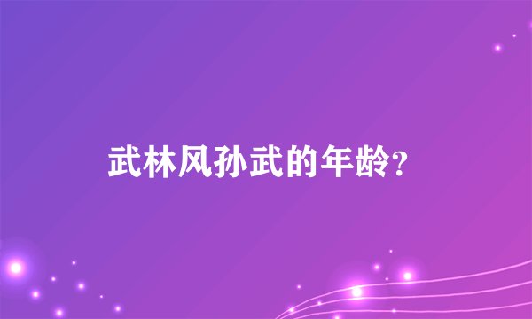 武林风孙武的年龄？