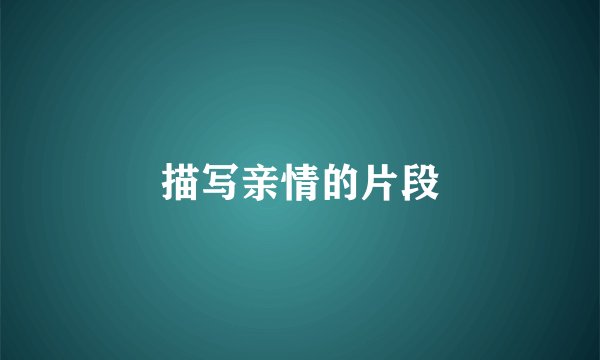 描写亲情的片段