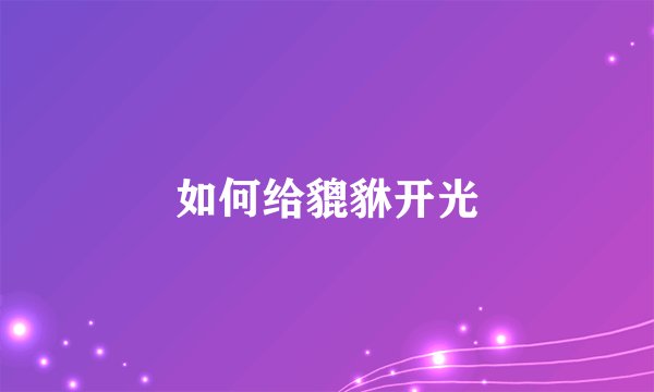 如何给貔貅开光
