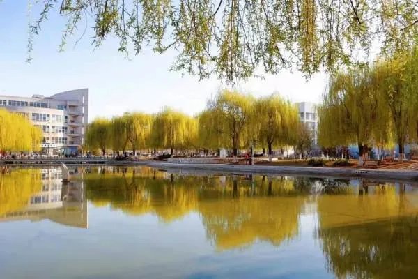 河北金融学院怎么样