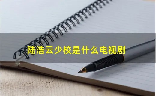 陆浩云少校是什么电视剧