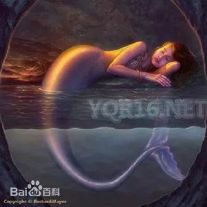 下水道的美人鱼在线看