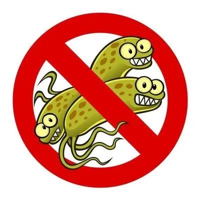 寄生虫病有什么症状 认识不同类型寄生虫病症状