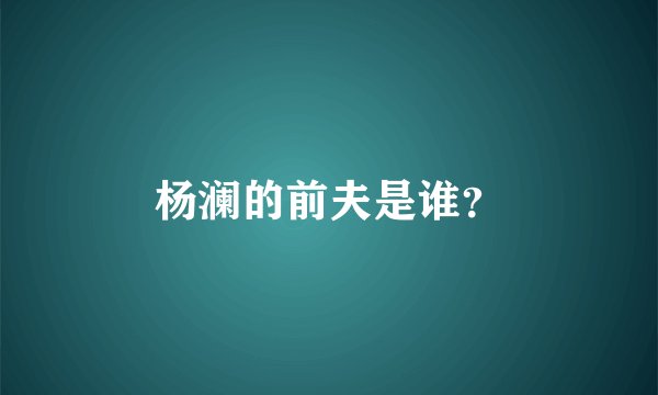 杨澜的前夫是谁？