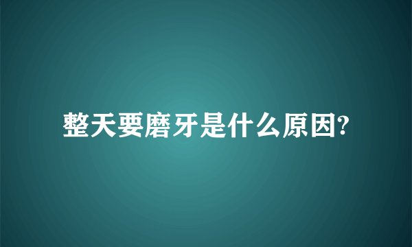 整天要磨牙是什么原因?