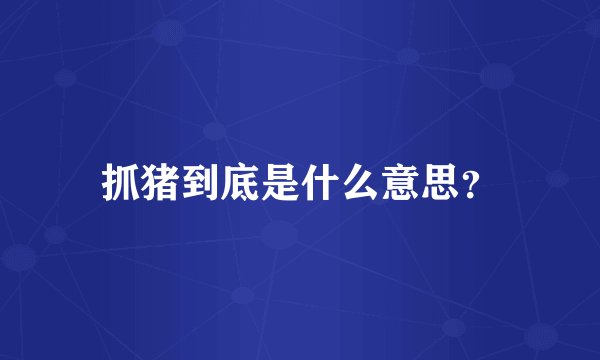 抓猪到底是什么意思？