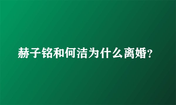 赫子铭和何洁为什么离婚？