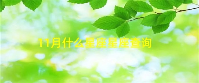 11月什么星座星座查询