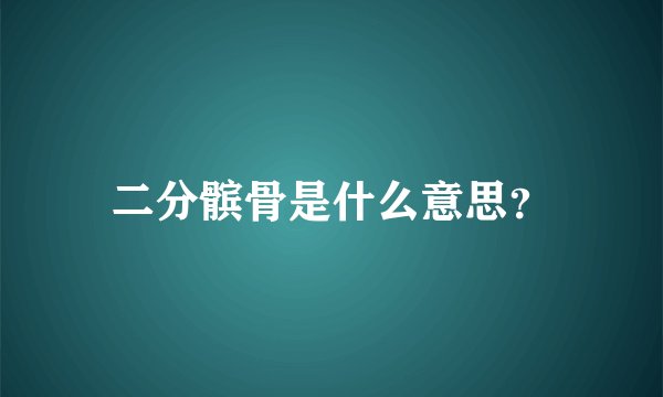 二分髌骨是什么意思？