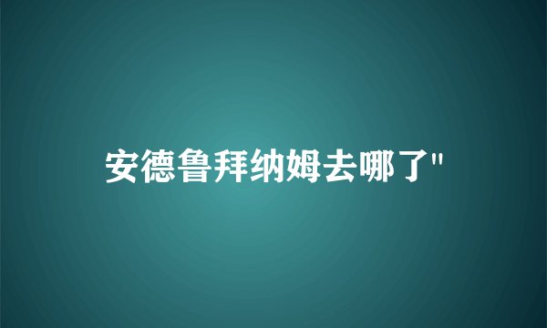 安德鲁拜纳姆去哪了