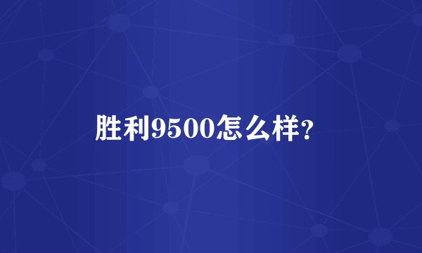 胜利9500怎么样?