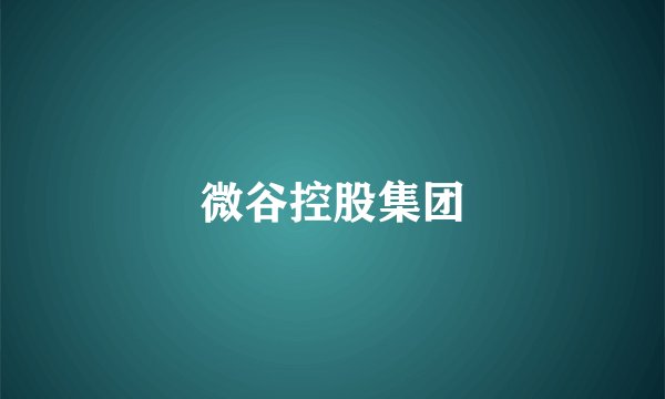 微谷控股集团