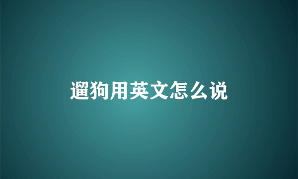 遛狗用英文怎么说