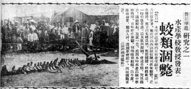 营口坠龙、松花江坠龙,为何历史上有那么多的坠龙事件?