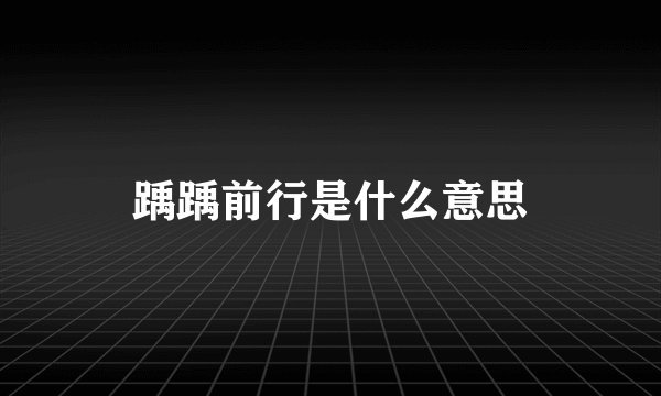 踽踽前行是什么意思