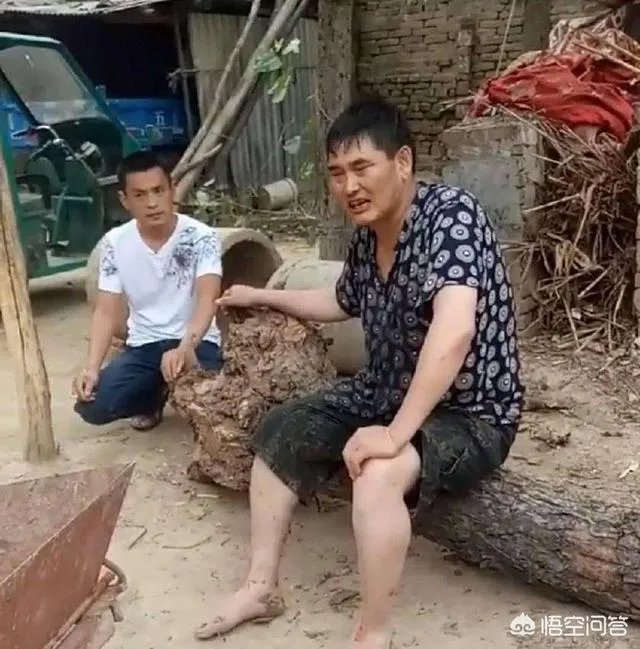 让朱之文去主持《星光大道》你觉得效果会怎么样？