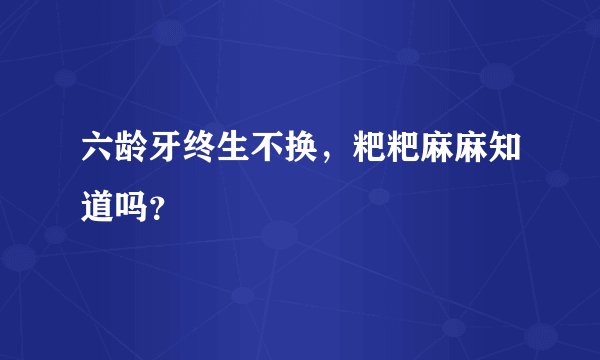六龄牙终生不换，粑粑麻麻知道吗？