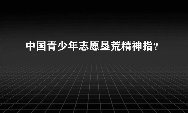 中国青少年志愿垦荒精神指？