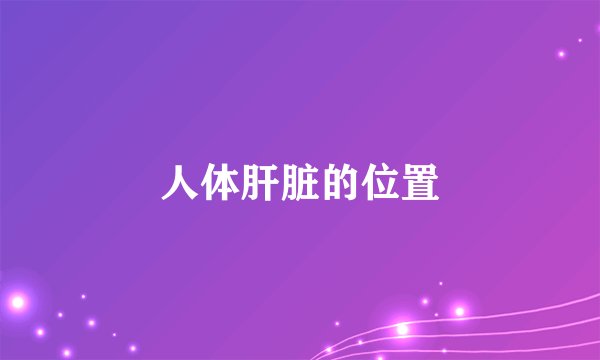人体肝脏的位置