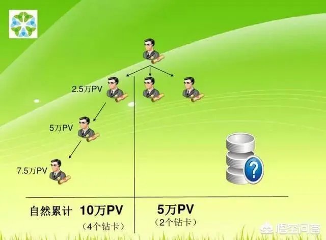 绿叶到底是不是传销？