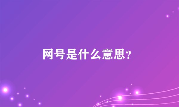 网号是什么意思？