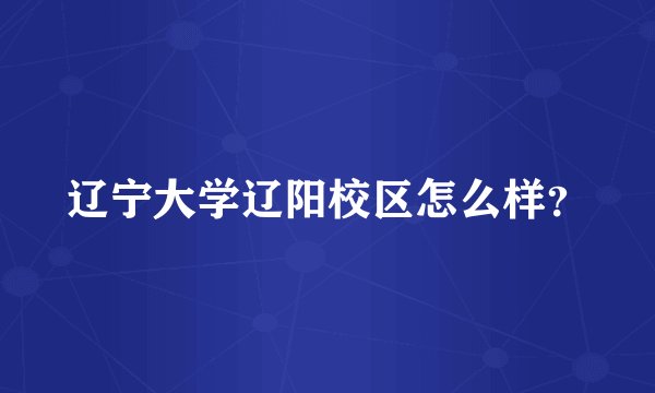 辽宁大学辽阳校区怎么样?