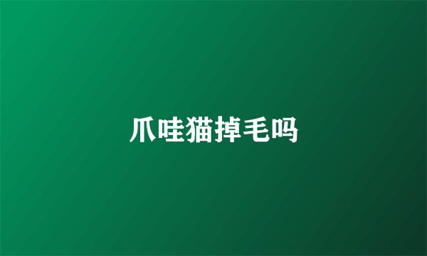 爪哇猫掉毛吗