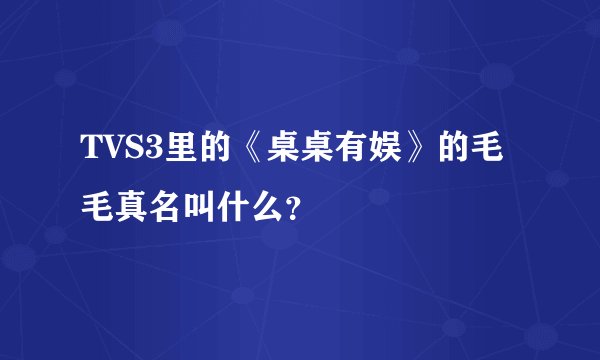 TVS3里的《桌桌有娱》的毛毛真名叫什么？