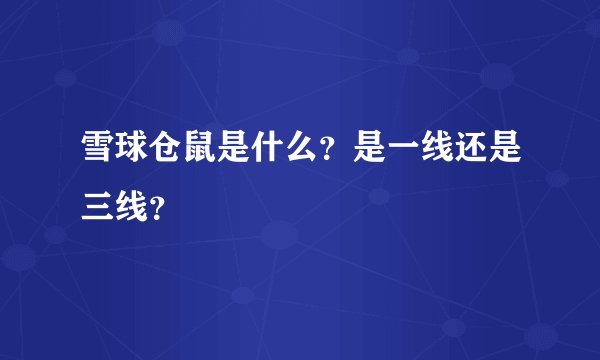 雪球仓鼠是什么？是一线还是三线？