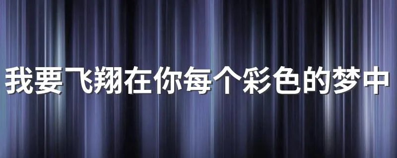 我要飞翔在你每个彩色的梦中歌词是什么意思 有什么含义