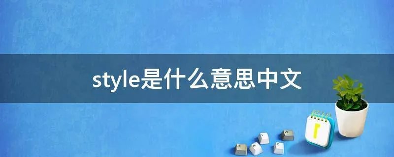 style是什么意思中文