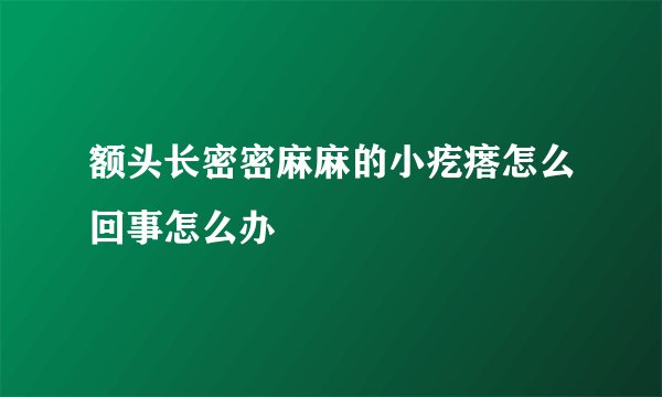 额头长密密麻麻的小疙瘩怎么回事怎么办
