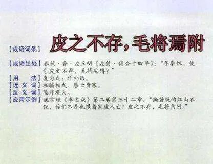 皮之不存毛将焉附