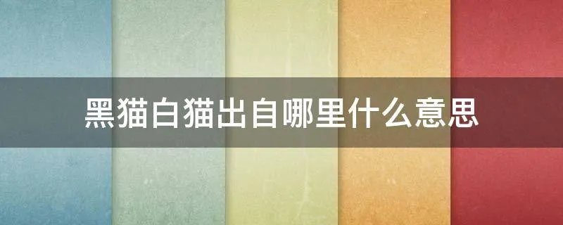 黑猫白猫出自哪里什么意思